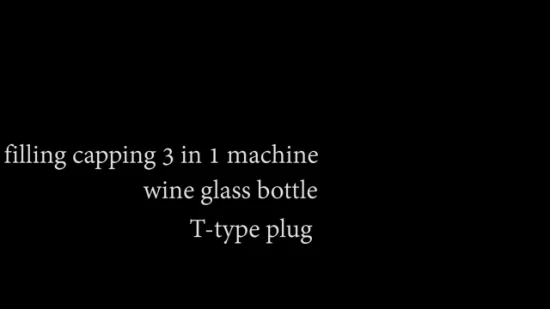 Ligne d'emballage de remplissage automatique de vin rouge